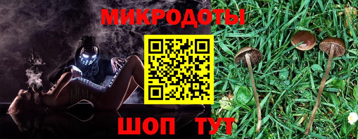 Выборг  Псилоцибиновые грибы GOLDEN TEACHER  продажа наркотиков  Вход с VPN 