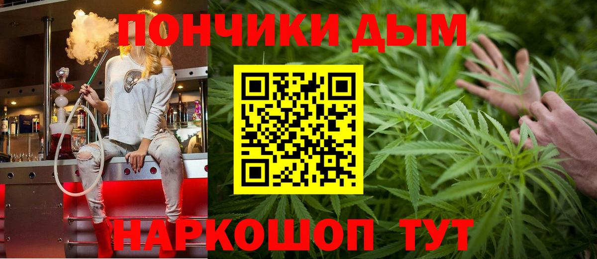 Конопля сатива Выборг